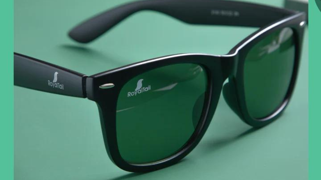 Wayfarer Sunglasses: How to Wear Them - ROYALTAIL