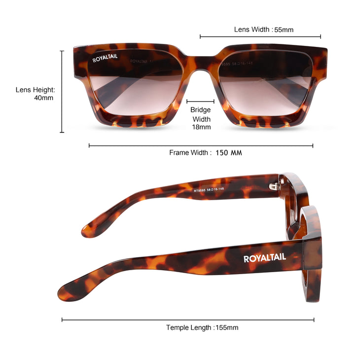 Tartaruga Classic Thick Square Brown UV Protected Sunglasses RT069 for Men and Women - ROYALTAIL