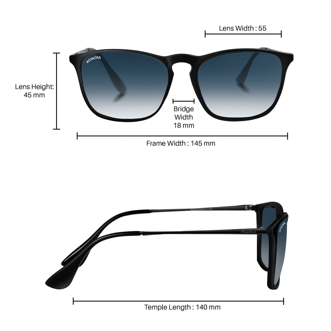 Blue Bird Gradient Glass and Black Frame Erika Sunglasses - ROYALTAIL