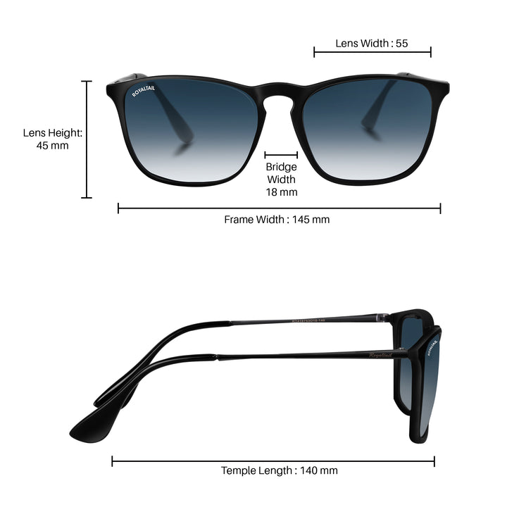Blue Bird Gradient Glass and Black Frame Erika Sunglasses - ROYALTAIL