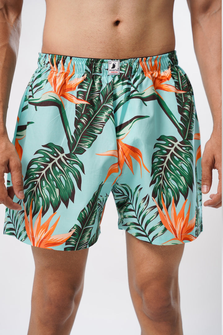 Sky Blue And Green All Over Printed Mens Boxers - ROYALTAIL