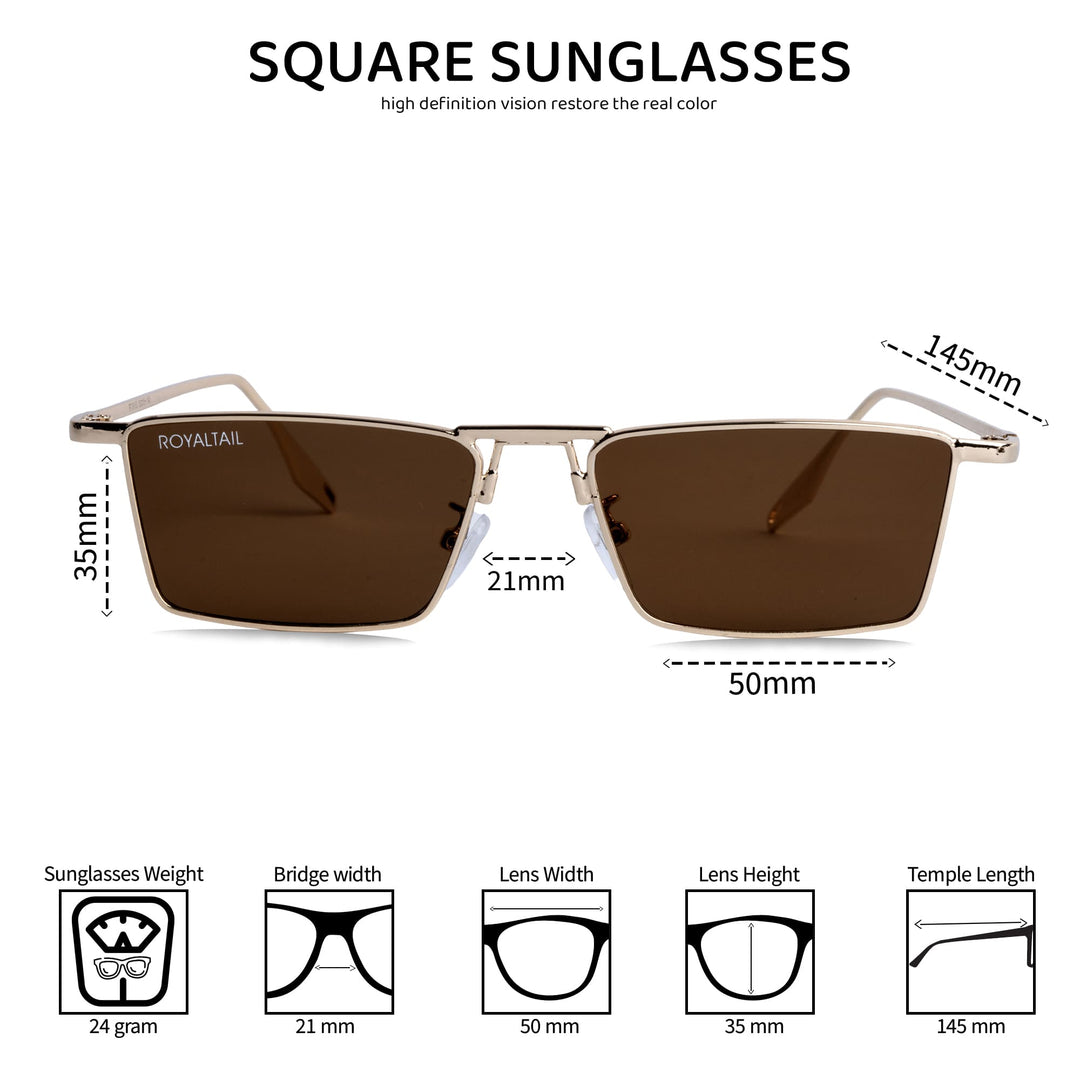 Blitz Gold Brown Rectangle Sunglasses For Men & Women - ROYALTAIL