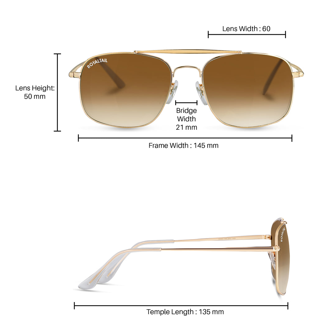 royaltail sunglasses square rt squ golden brown