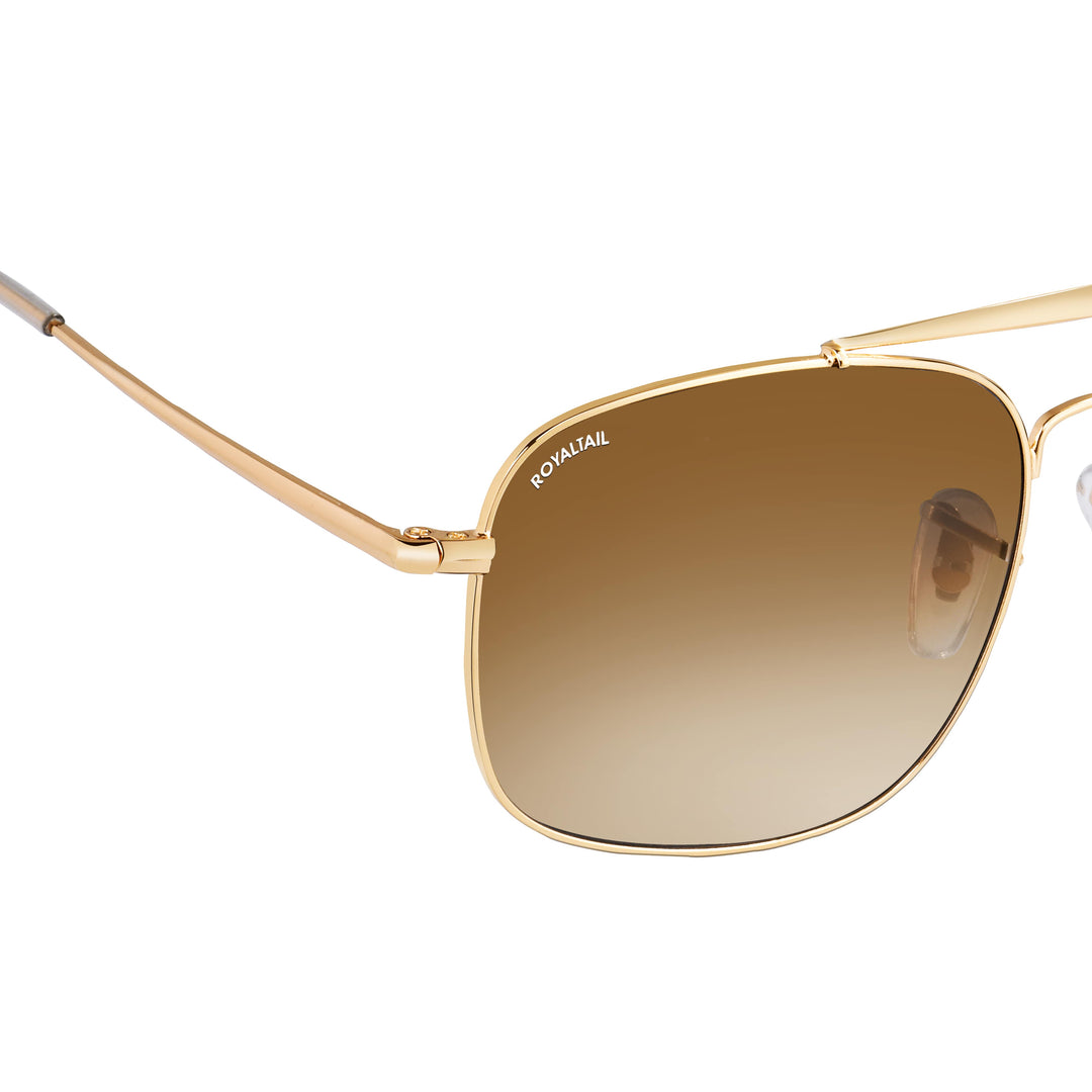 royaltail sunglasses square rt squ golden brown