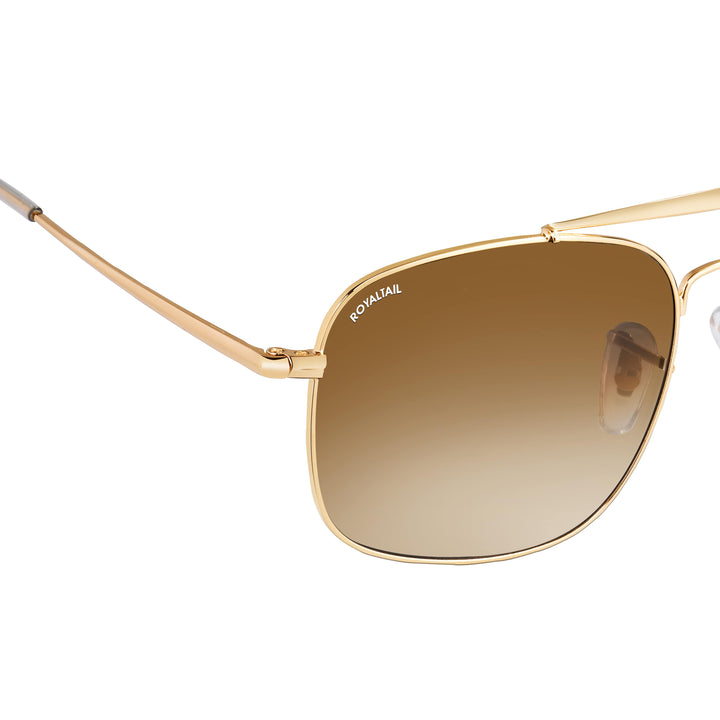 royaltail sunglasses square rt squ golden brown