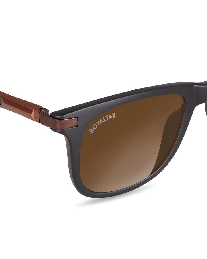 Brown Glass and Brown Frame Square Helmatta 4287 Edition Sunglasses - Royaltail