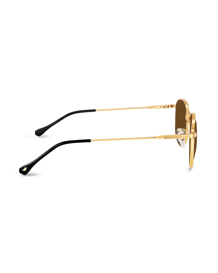 Brown Glass and Gold Frame Round Medford Series Polarized Sunglasses - Royaltail