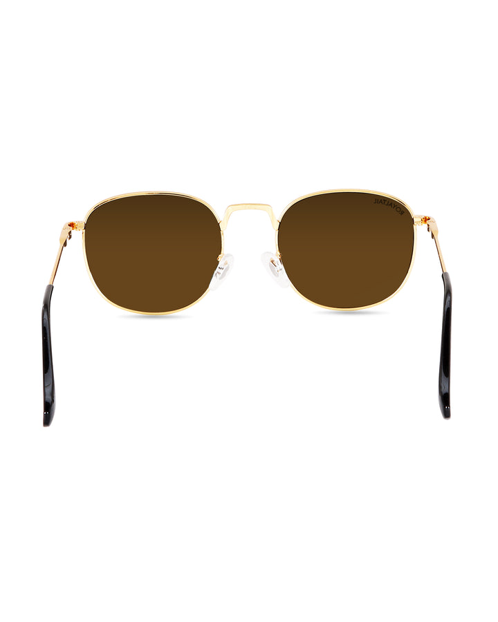 Brown Glass and Gold Frame Round Medford Series Polarized Sunglasses - Royaltail