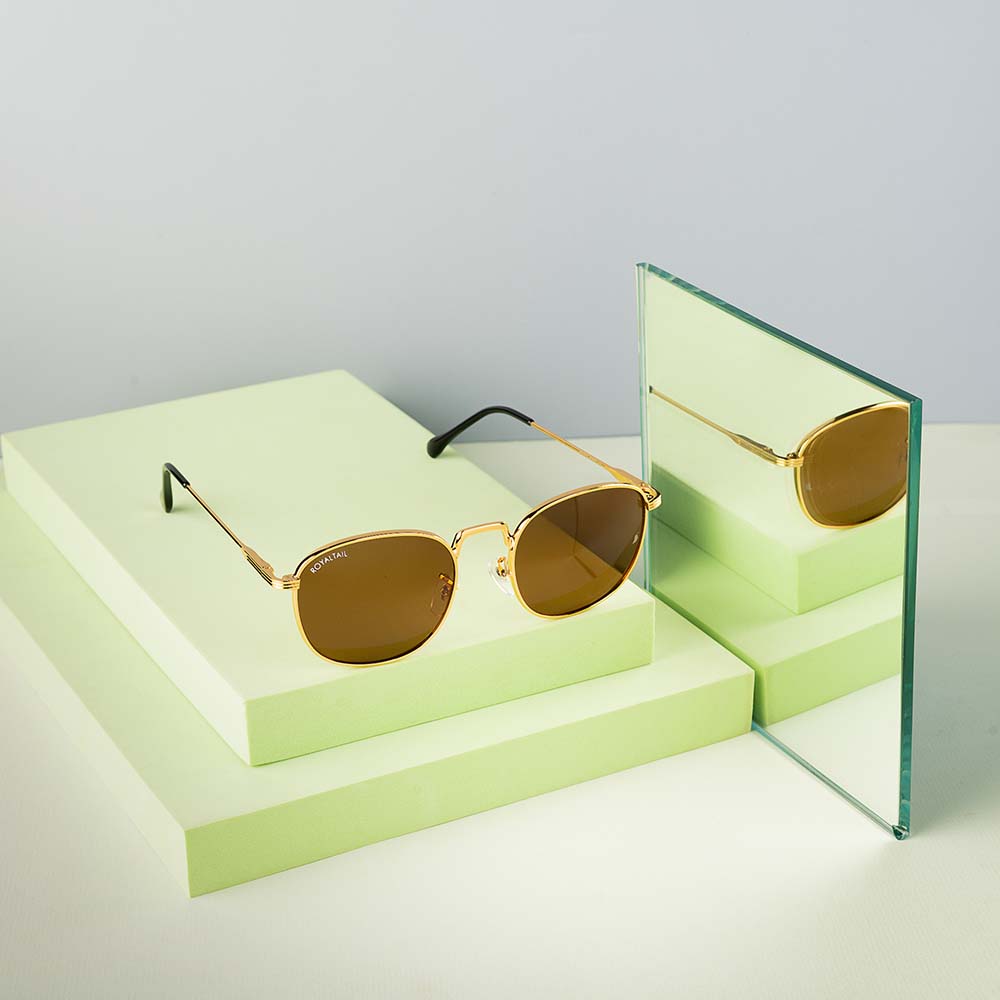 Brown Glass and Gold Frame Round Medford Series Polarized Sunglasses - Royaltail