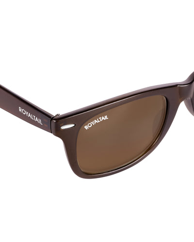 Unisex Brown Glass and Brown Frame Wayfarer Sunglasses
