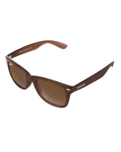 Unisex Brown Glass and Brown Frame Wayfarer Sunglasses
