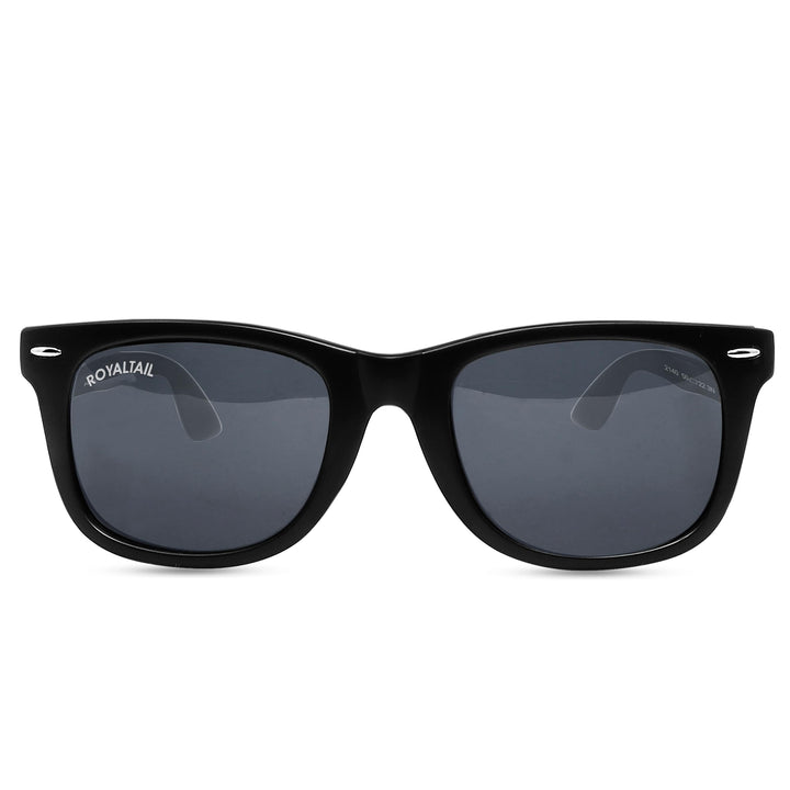 Wayfarer sunglasses for men and women, black frame and black lenses