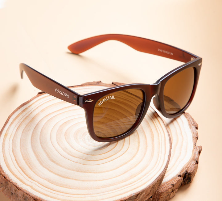 Brown wayfarer sunglasses with brown lenses – ROYALTAIL