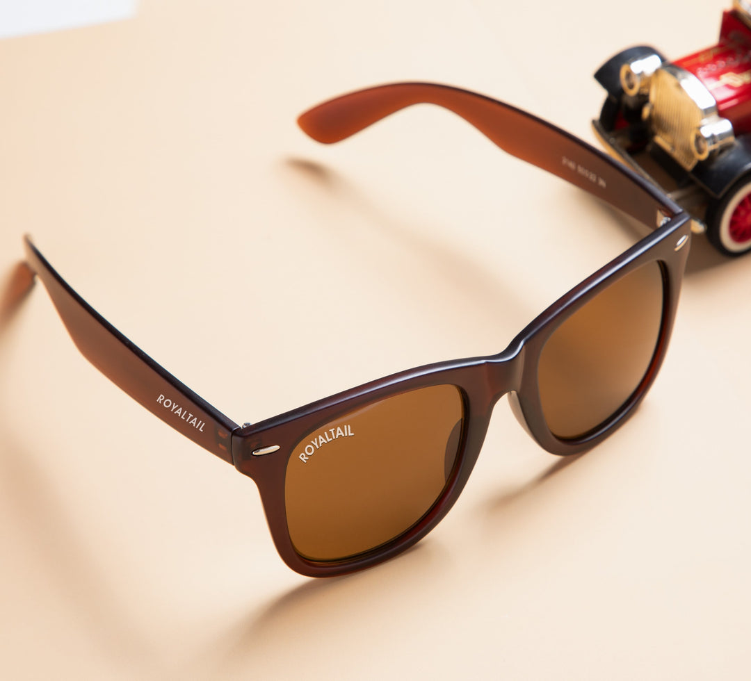 Brown wayfarer sunglasses with brown lenses, photo 10