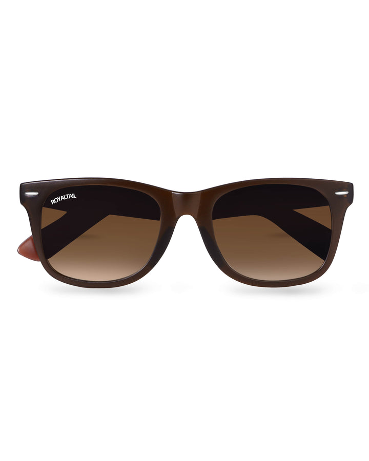 Brown wayfarer sunglasses with brown lenses, photo 6