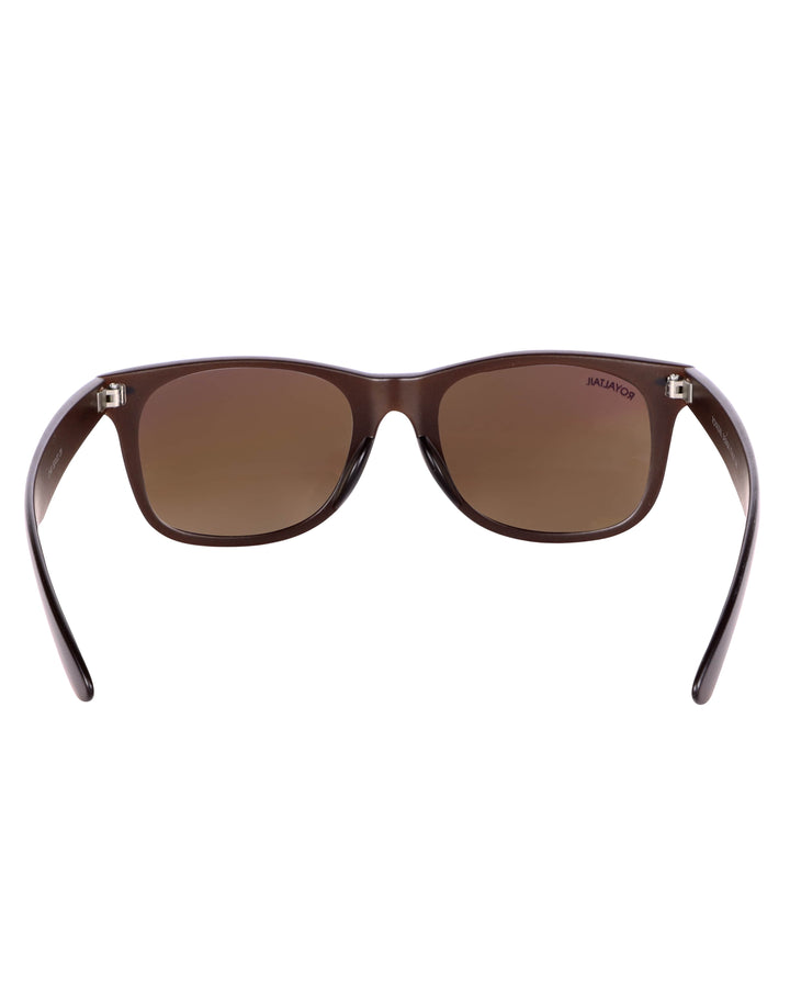 Brown wayfarer sunglasses with brown lenses, photo 9