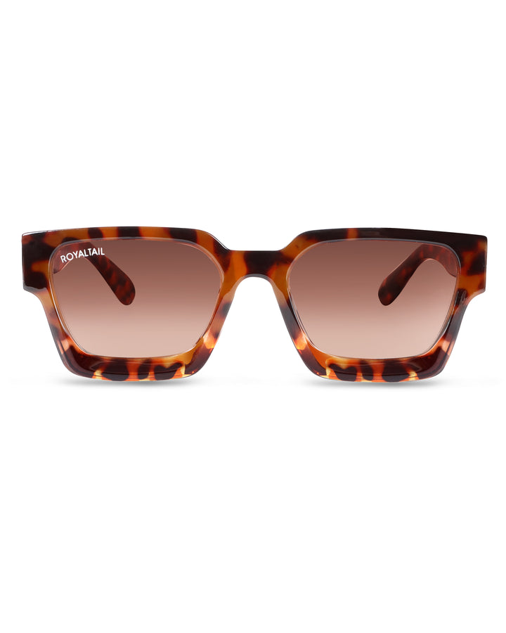 Dark tortoise thick square sunglasses with brown lenses – ROYALTAIL