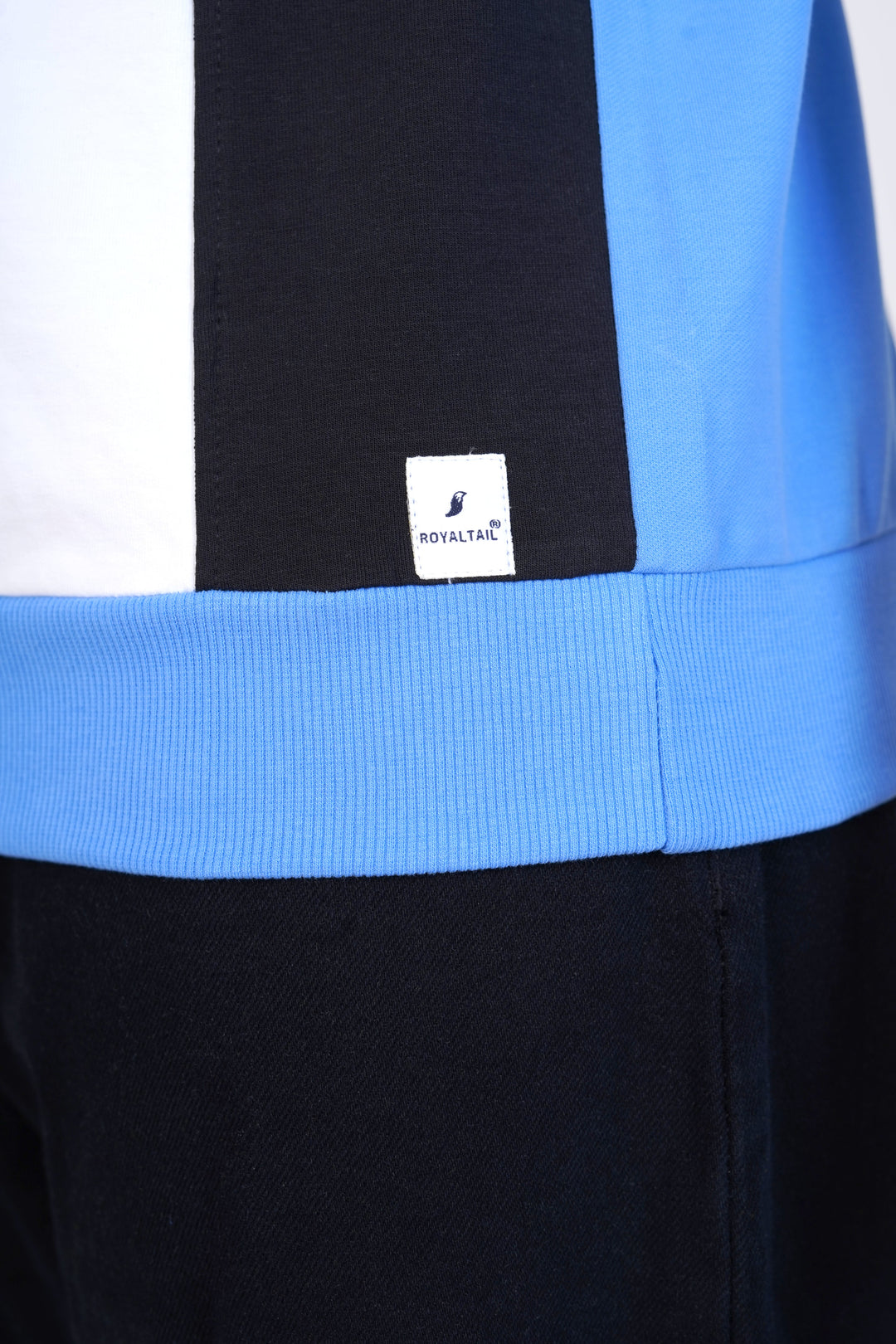 Glacier Light Blue Organic Cotton Sweatshirt for men, photo 6