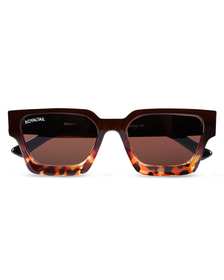 ROYALTAIL tortoise thick square sunglasses, brown lens